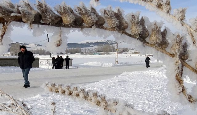 Doğu Anadolu'da dondurucu soğuklar etkisini sürdürüyor