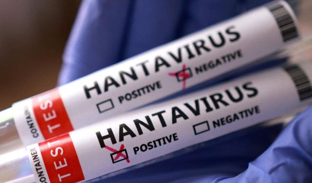 Türkiye'de hantavirüs riski var mı?