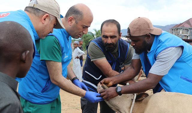 TDV görevlileri, Sierra Leone'de ihtiyaç sahiplerine kurban eti ulaştıracak