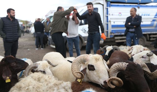 Kurbanlık pazarlarında arife yoğunluğu yaşanıyor