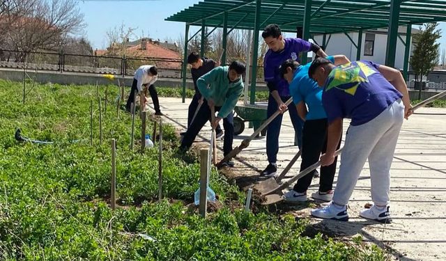 İmam hatipli gençlerden "Bereket Bahçesi" projesi