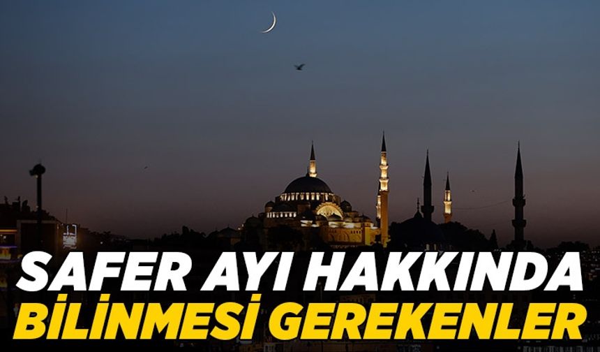 Safer Ayı hakkında bilinmesi gerekenler