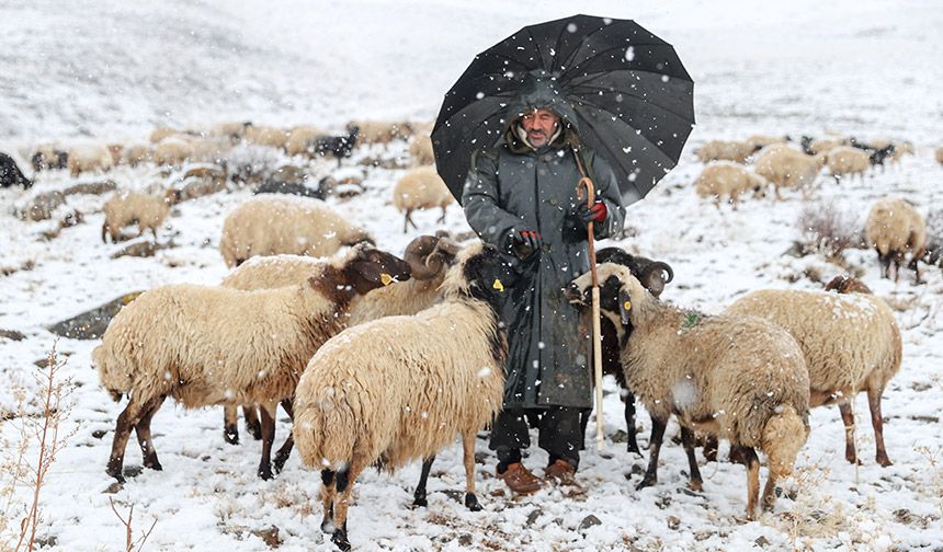 Van ve Hakkari'de kar etkili oldu