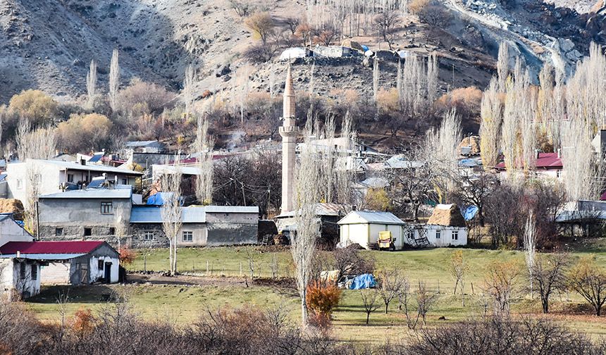 Kars'ta bir köy kuduz nedeniyle karantinaya alındı