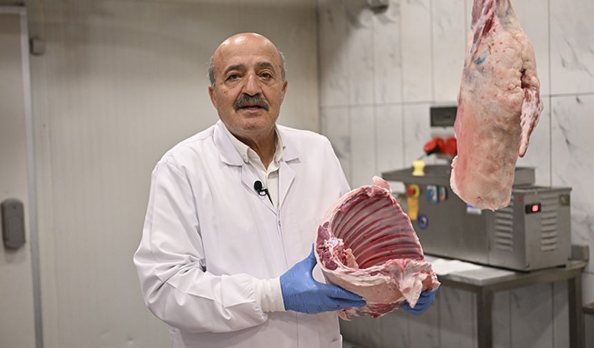 Kasaplar Odasından Kurban Etlerinin İşlenmesi ve Muhafazası İçin Öneriler