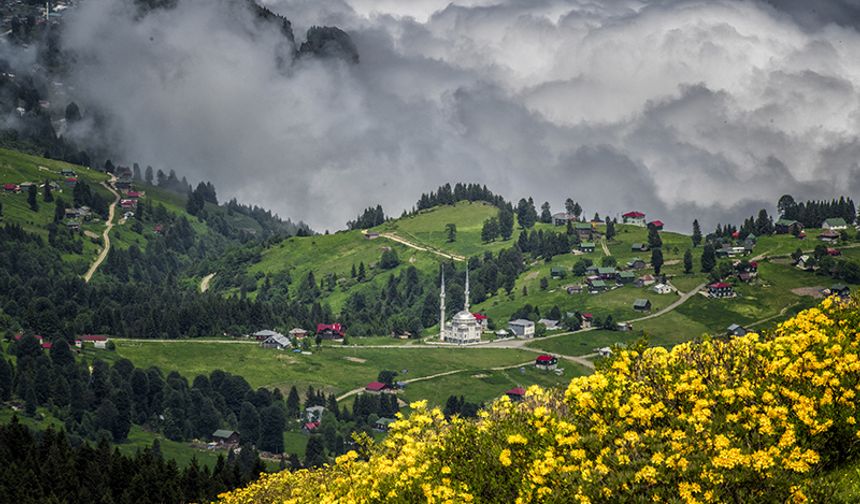 Trabzon yaylaları renk cümbüşüyle ziyaretçilerini bekliyor