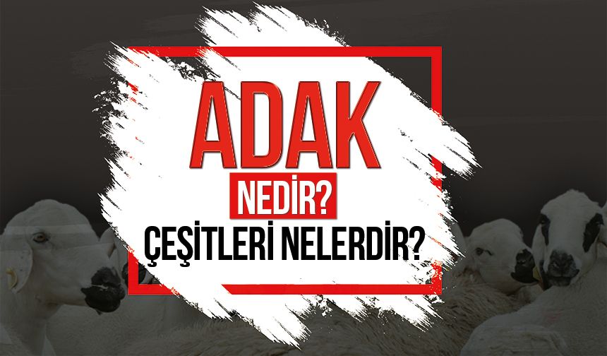 Adak nedir? Adak çeşitleri nelerdir?