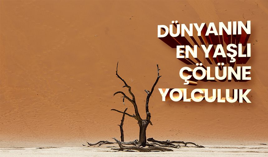 Dünyanın en yaşlı çölüne yolculuk: Namib Çölü