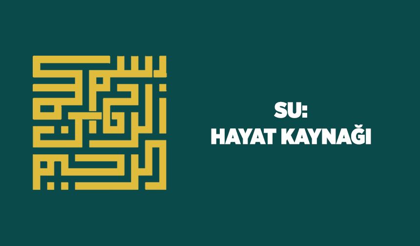 Su: Hayat Kaynağı
