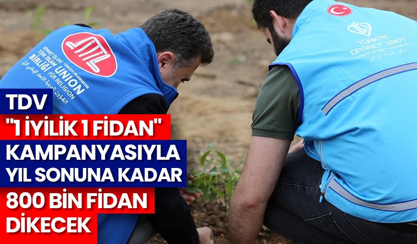 TDV, "1 İyilik 1 Fidan" kampanyasıyla yıl sonuna kadar 800 bin fidan dikecek