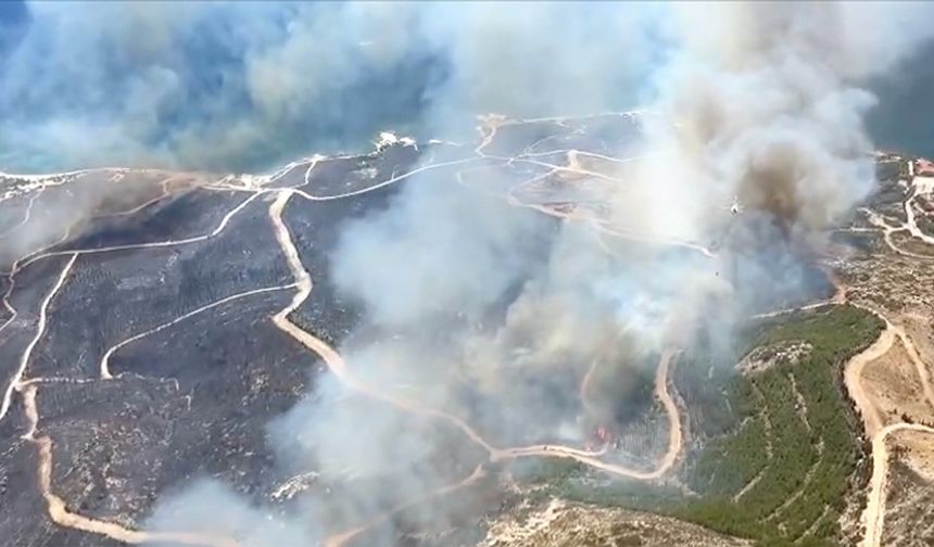 İzmir'in Çeşme ilçesinde ormanlık alanda çıkan yangında 3 kişi öldü