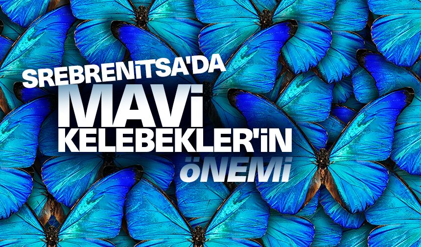 Srebrenitsa'da Mavi Kelebekler'in önemi