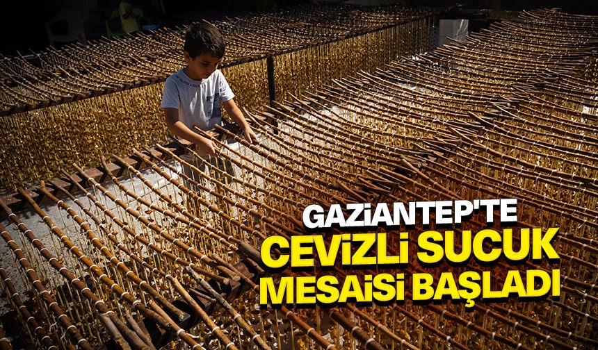 Gaziantep'te cevizli sucuk mesaisi başladı