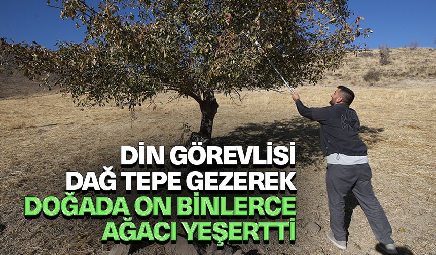 Din görevlisi dağ tepe gezerek doğada on binlerce ağacı yeşertti