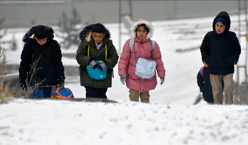 Kars, Ardahan, Ağrı ve Tunceli'de kar yağışı etkili oldu