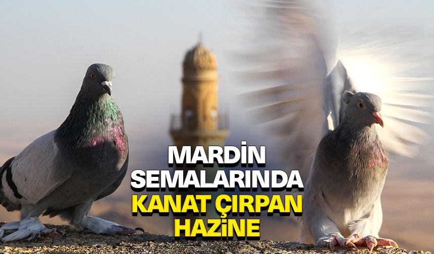 Mardin semalarında kanat çırpan hazine