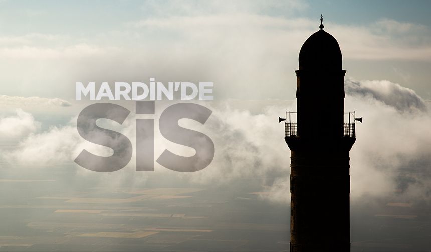 Mardin'de sis etkili oldu