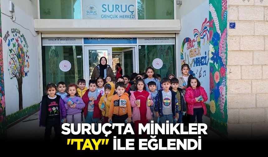 Suruç'ta minikler "Tay" ile eğlendi