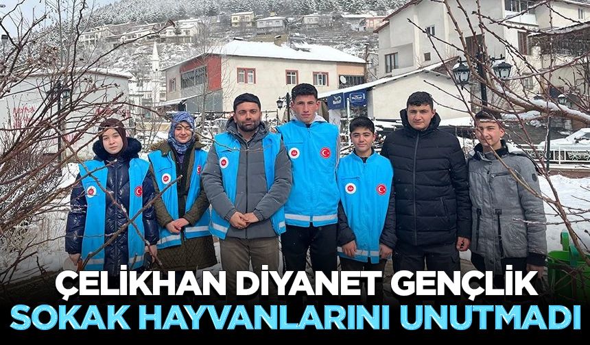 Çelikhan Diyanet Gençlik sokak hayvanlarını unutmadı