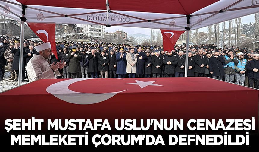 Şehit Mustafa Uslu'nun cenazesi memleketi Çorum'da defnedildi