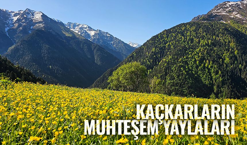 Kaçkarların muhteşem yaylaları