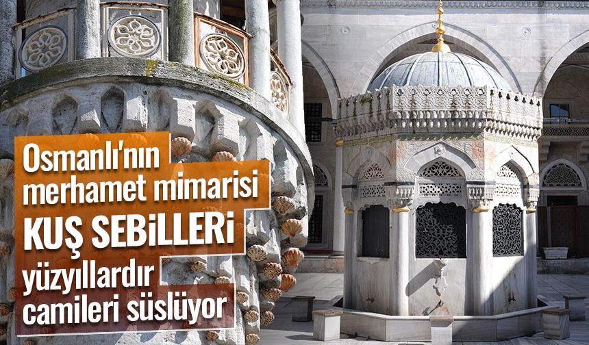 Osmanlı'nın merhamet mimarisi "kuş sebilleri" yüzyıllardır camileri süslüyor