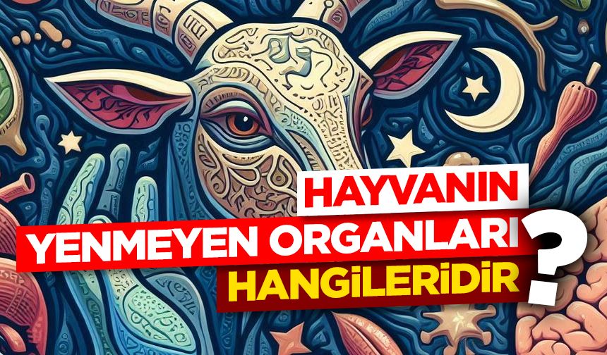 Hayvanın yenmeyen organları hangileridir?