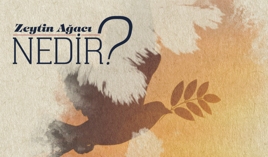 Zeytin Ağacı Nedir?