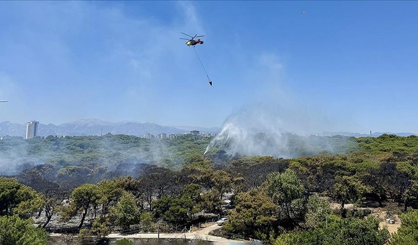 Antalya'da son bir haftada çıkan 37 orman yangınında 52 hektarlık alan zarar gördü