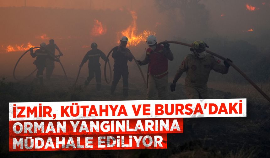 İzmir, Kütahya ve Bursa'daki orman yangınlarına müdahale ediliyor