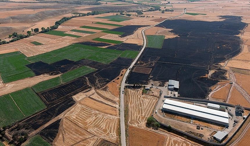 Kütahya'da yangın çıkan yaklaşık 800 dekar ekili alan zarar gördü