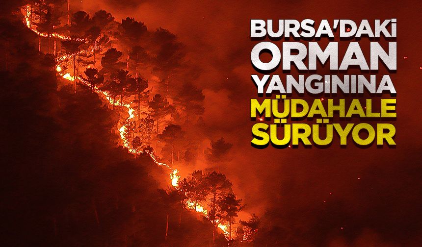 Bursa'nın Orhaneli-Harmancık hattındaki orman yangınına müdahale sürüyor