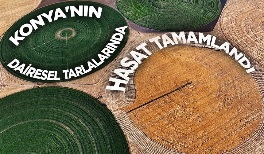 Konya'nın devasa dairesel tarlalarında hasat tamamlandı