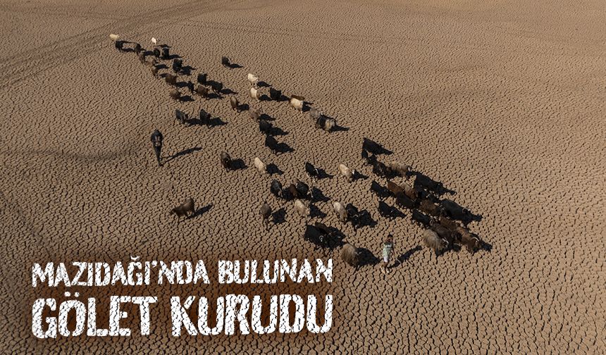 Mazıdağı’nda bulunan gölet kurudu