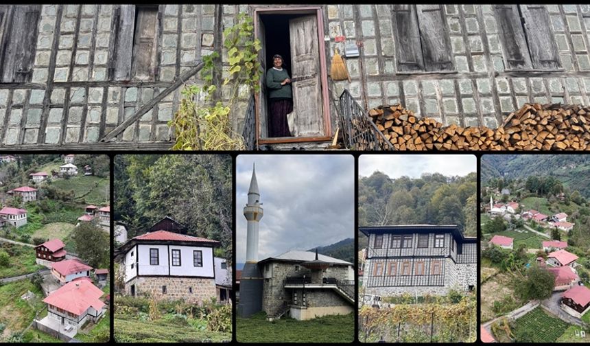 Kestane ağacından yapılan tescilli evler Arılı köyüne ziyaretçi çekiyor