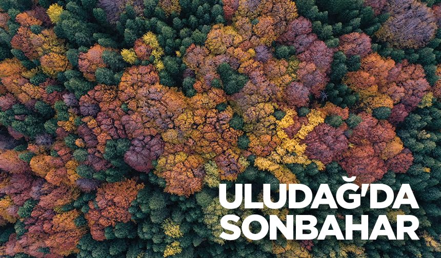 Uludağ'da sonbahar renkleri hakim oldu