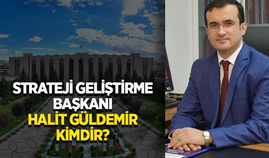 Strateji Geliştirme Başkanı Halit Güldemir kimdir?