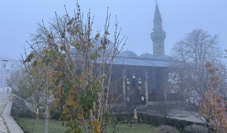 Erzurum, Ardahan ve Kars'ta soğuk hava ile sis etkili oluyor