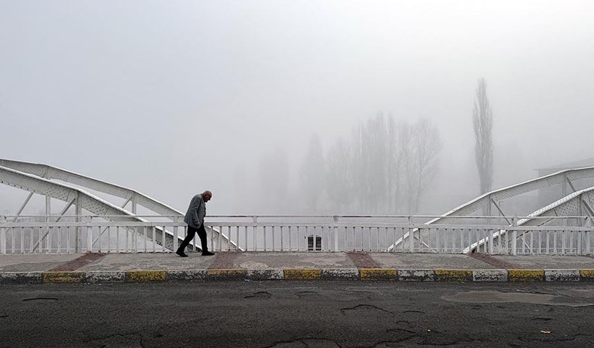 Ardahan'da kuşların gökyüzündeki dansı görüntülendi