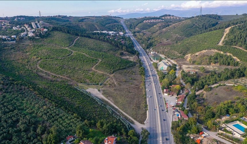 Bursa'da yıllar önce yanan ormanlık alanlar yeniden yeşeriyor