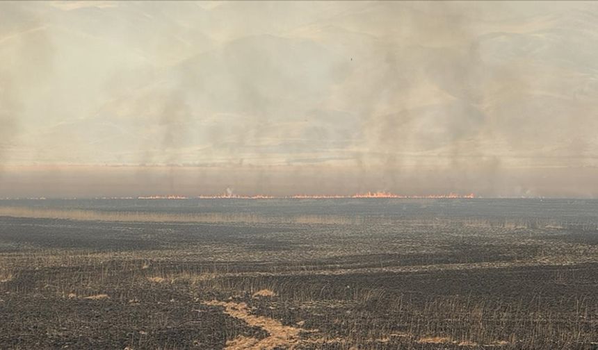 Hakkari'de Nehil Sazlığı'ndaki yangına havadan müdahale ediliyor