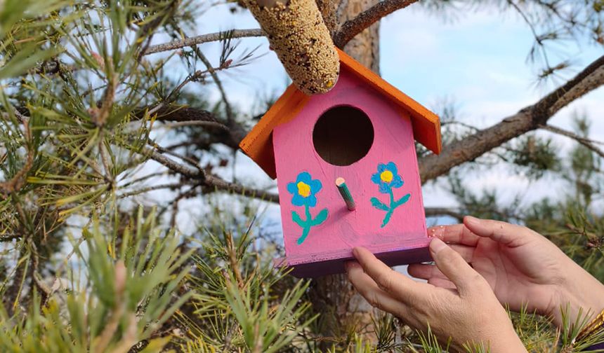 Oltu'da kurs öğrencileri kuş evi yaparak doğaya bıraktı