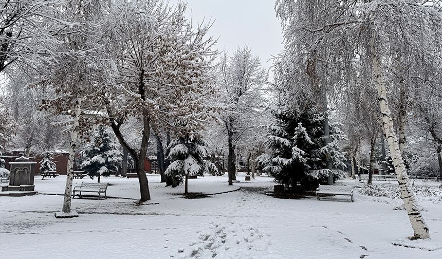Erzurum ve çevresinde kar yağışı etkili oldu