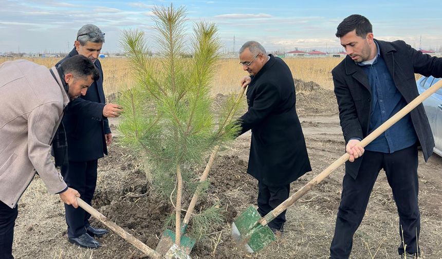 Iğdır'da Hz. Peygamber anısına hatıra ormanı oluşturuldu