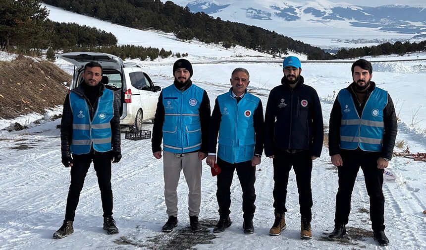 Din görevlileri, yaban hayvanları için doğaya yiyecek bıraktı