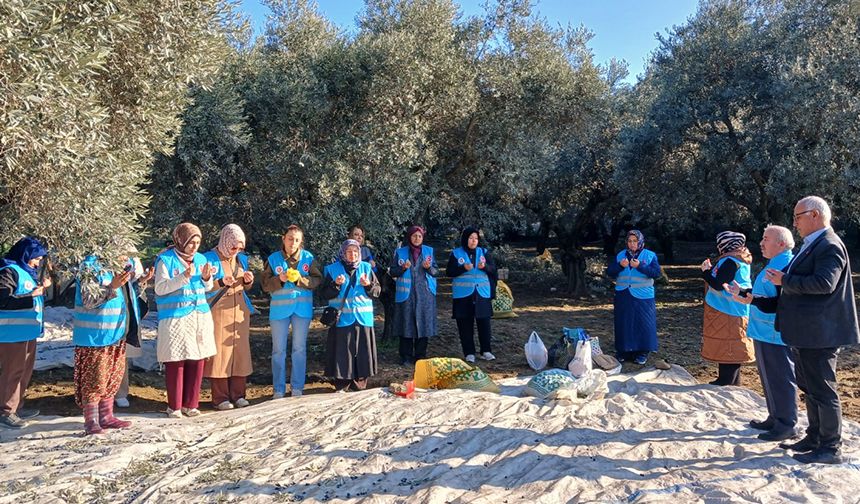 Yatağan'da "Zeytin Hasadı ve Bereket Duası" yapıldı