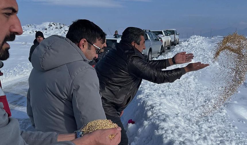 Çaldıran'da din görevlileri doğaya yem bıraktı