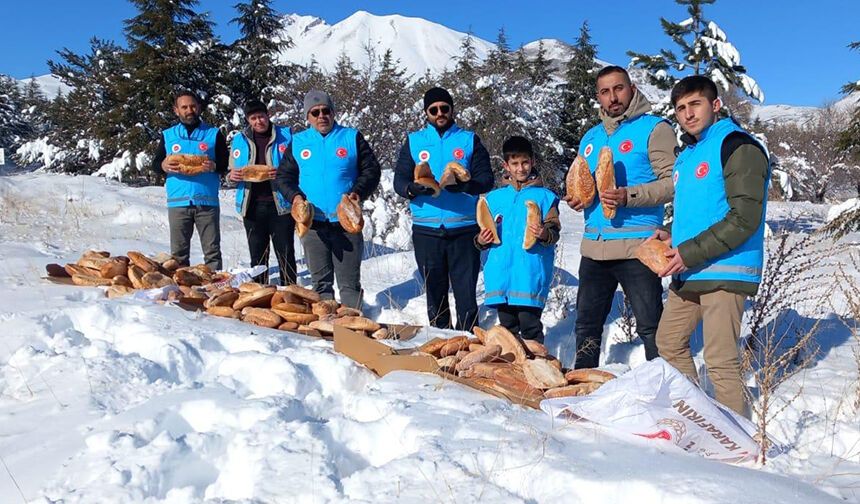 Develi'de yaban hayvanları unutulmadı