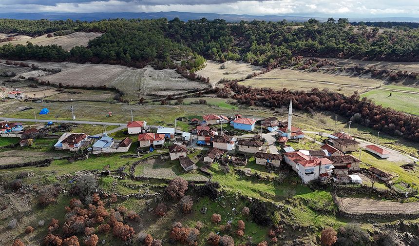 Türkiye'nin köy sayısı belli oldu
