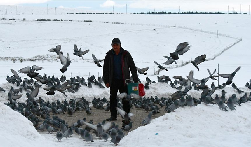 Yaban kuşlarına "sofra" kurmak için her sabah kar kürüyor